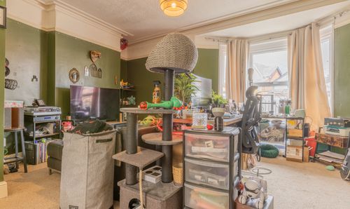 Room Photo