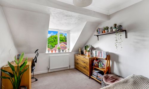 Room Photo
