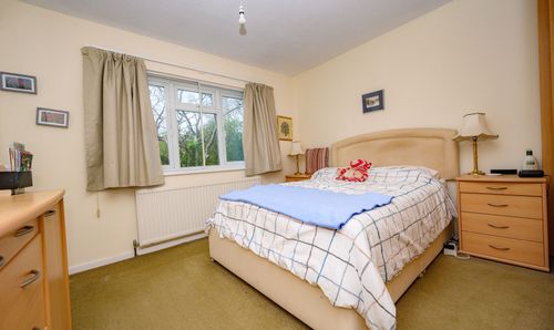 Room Photo