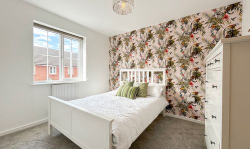 Room Photo