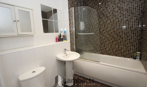 Room Photo