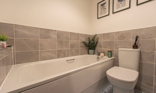 Room Photo