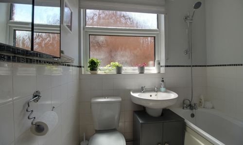 Room Photo