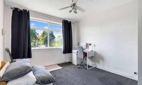 Room Photo