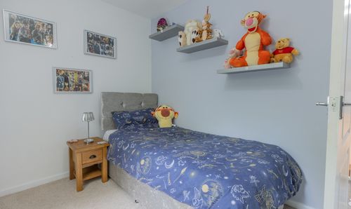 Room Photo