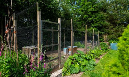 Chicken Coop