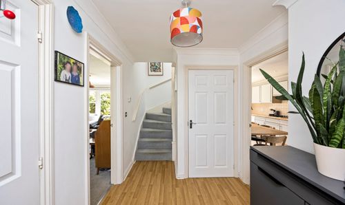 Room Photo