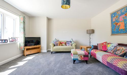 Room Photo