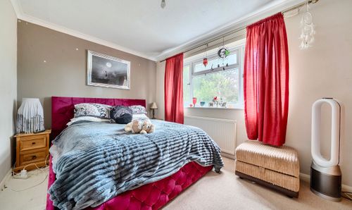 Room Photo