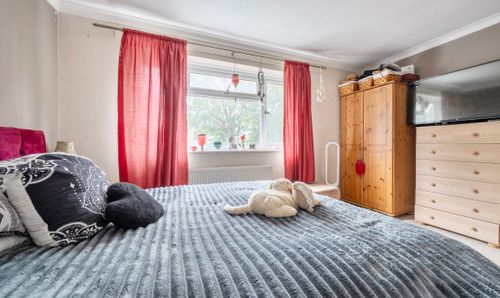 Room Photo