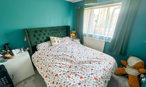Room Photo