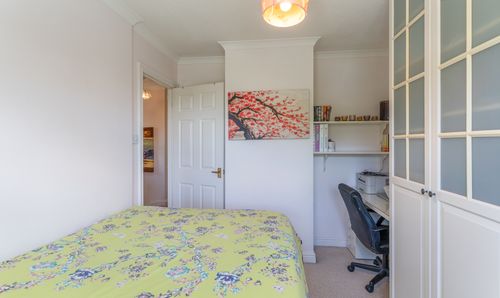 Room Photo