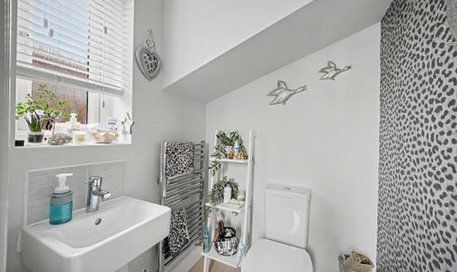 Room Photo