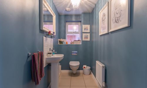 Room Photo