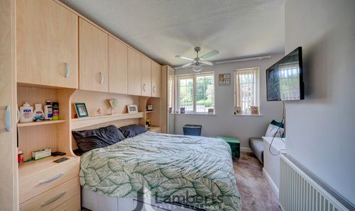 Room Photo