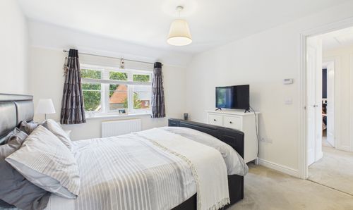 Room Photo