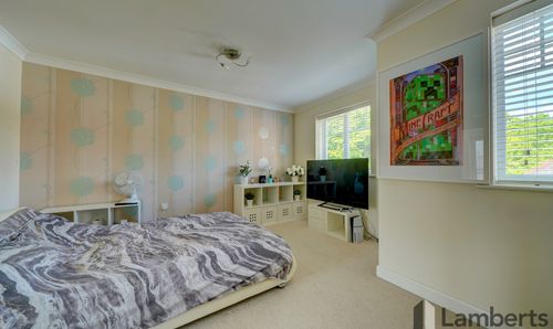 Room Photo