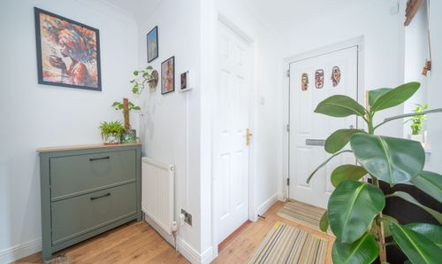 Room Photo