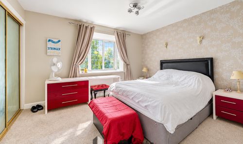 Room Photo