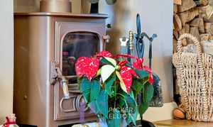 A photo of house for sale on Hinckley Road, Sapcote, LE9 from Picker Elliott Hinckley