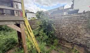 garden 1