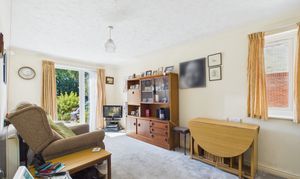 Lounge / Dining Room