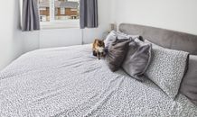 Image for property ad70f8aa-b1a2-439f-bda3-9feb2c5278f5