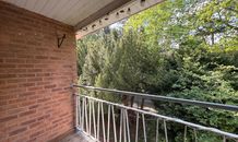 IMG_3890
