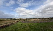 IMG_1839
