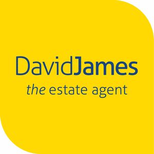 David James Estate Agents Primary Brand brand logo