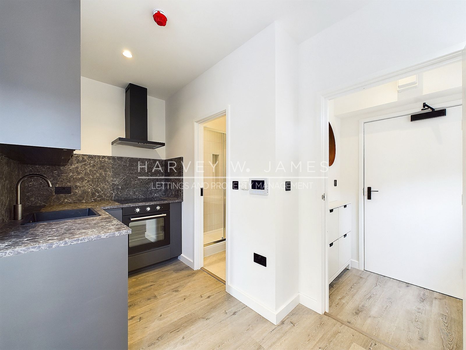 37 Tavistock Place, London, WC1H
