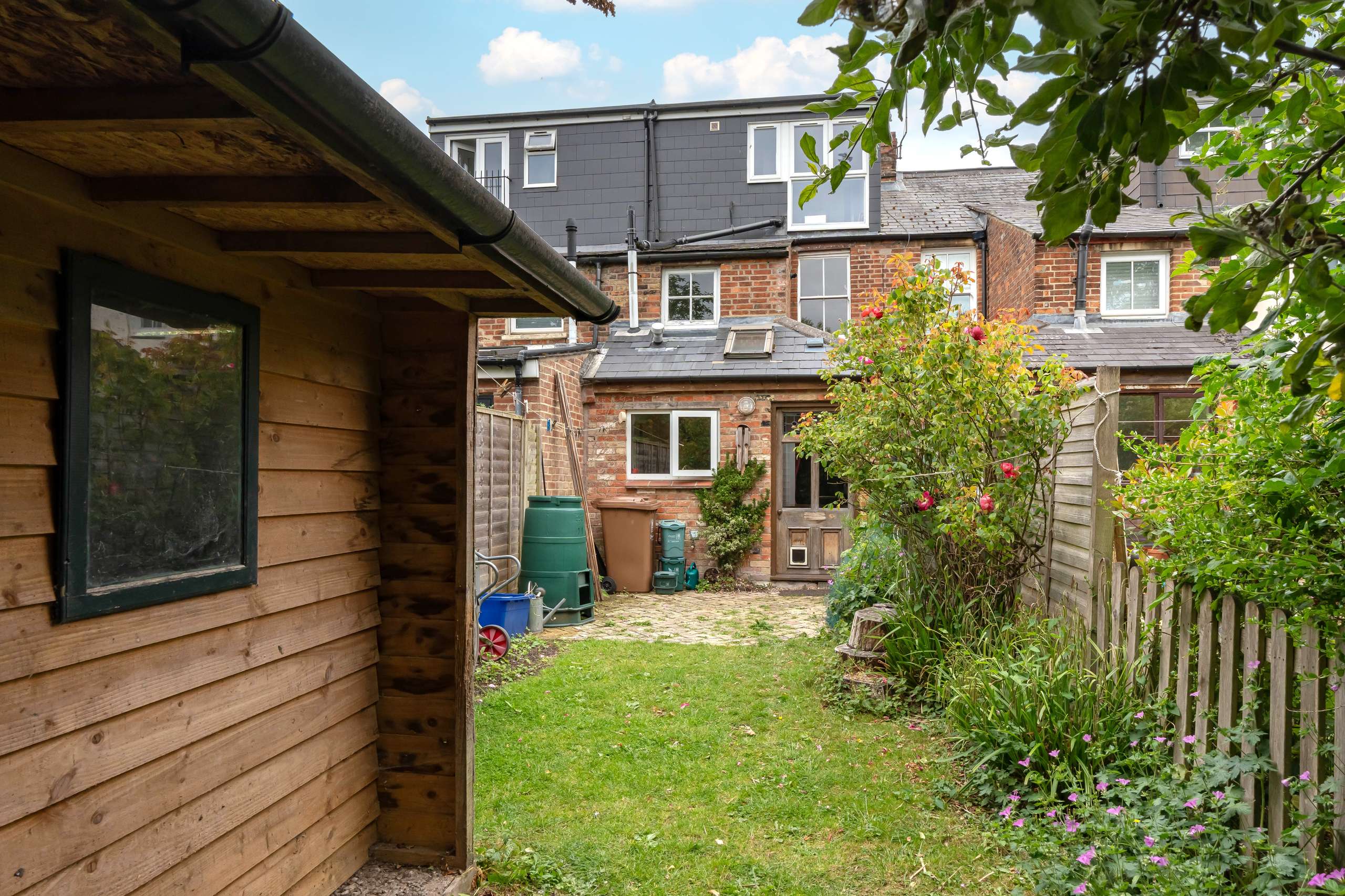 Photograph from Summer 2025