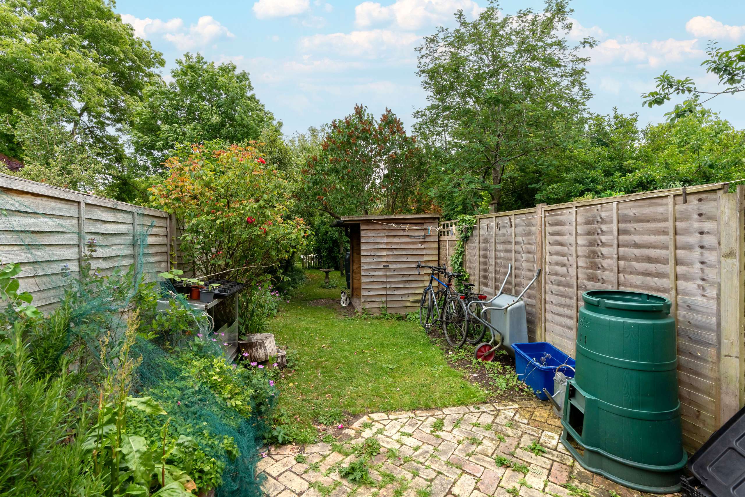 Photograph from Summer 2025