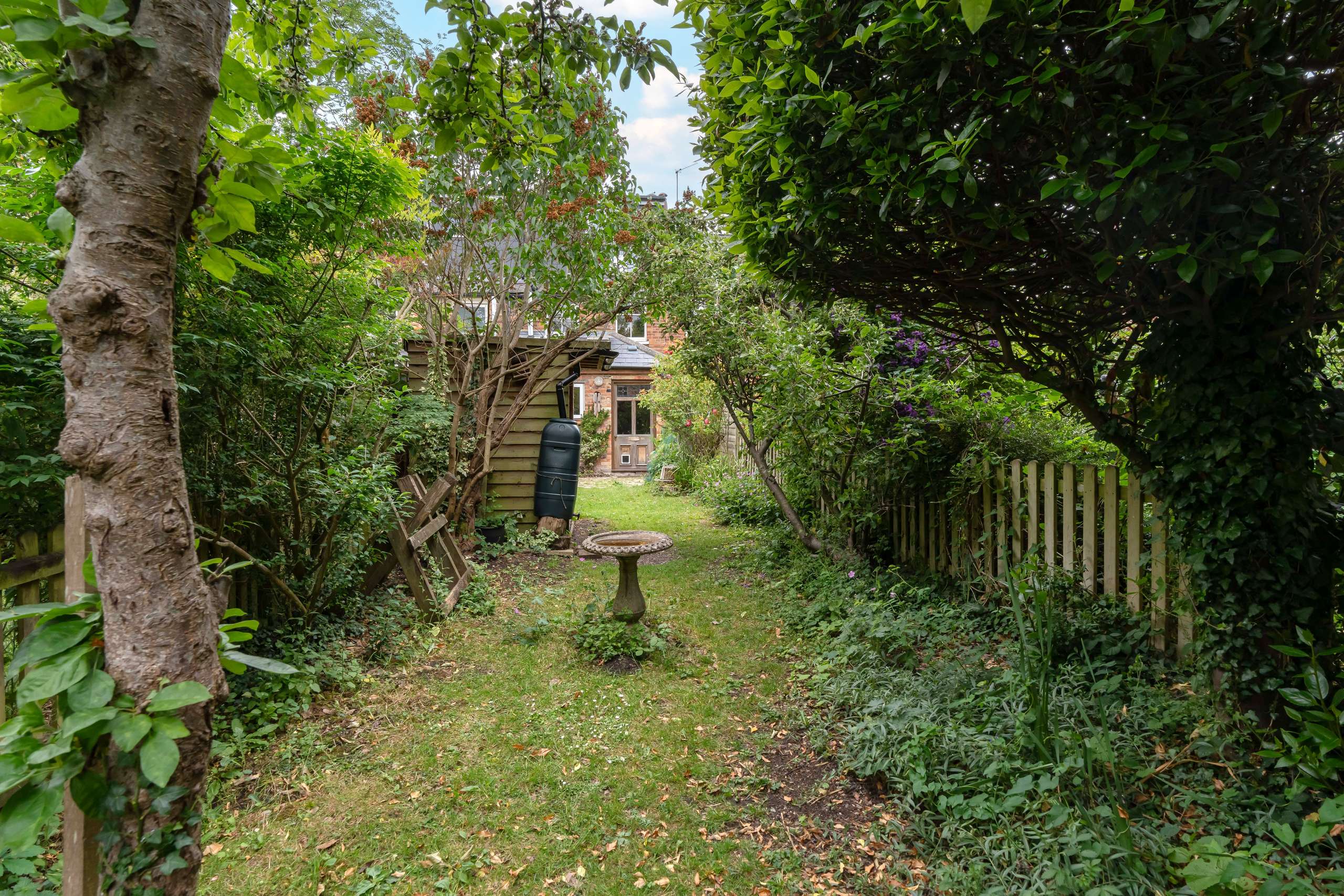 Photograph from Summer 2025