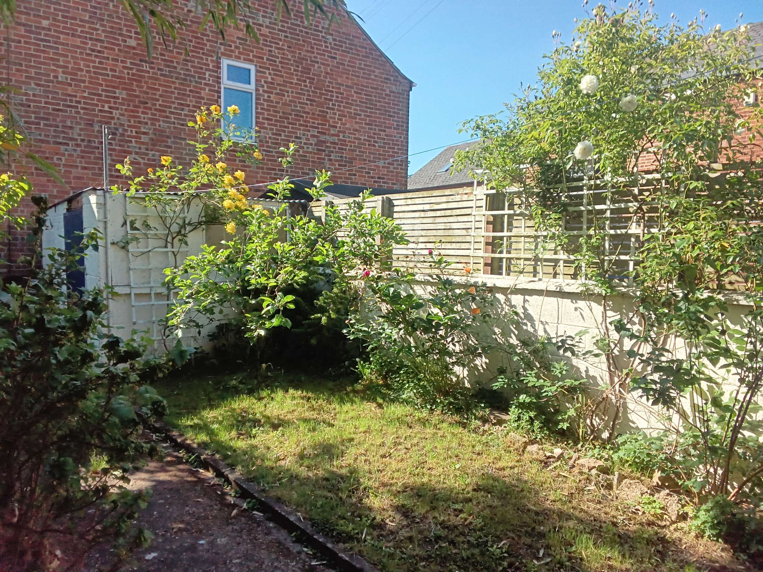 Vendor's summer photo