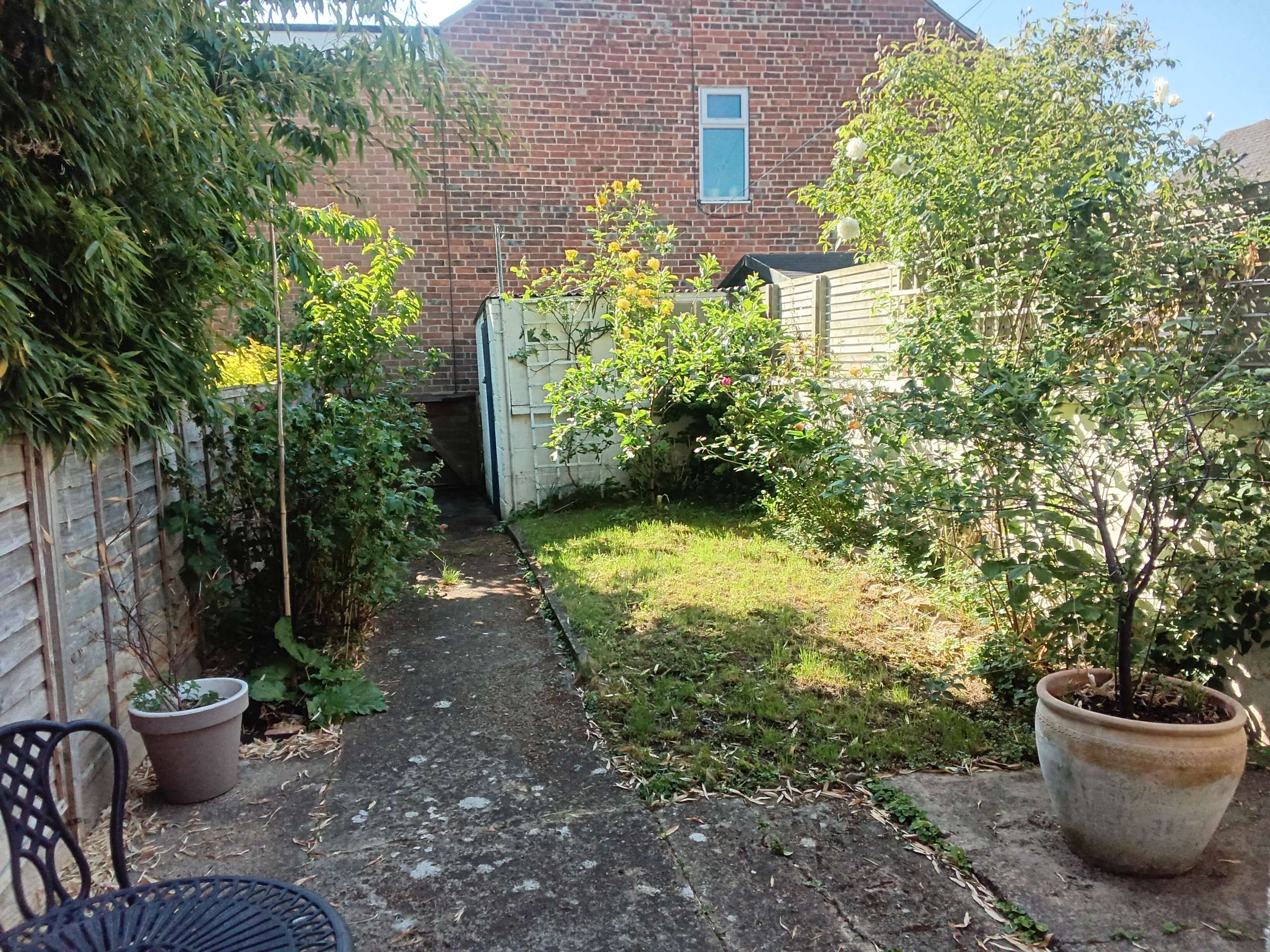 Vendor's summer photo