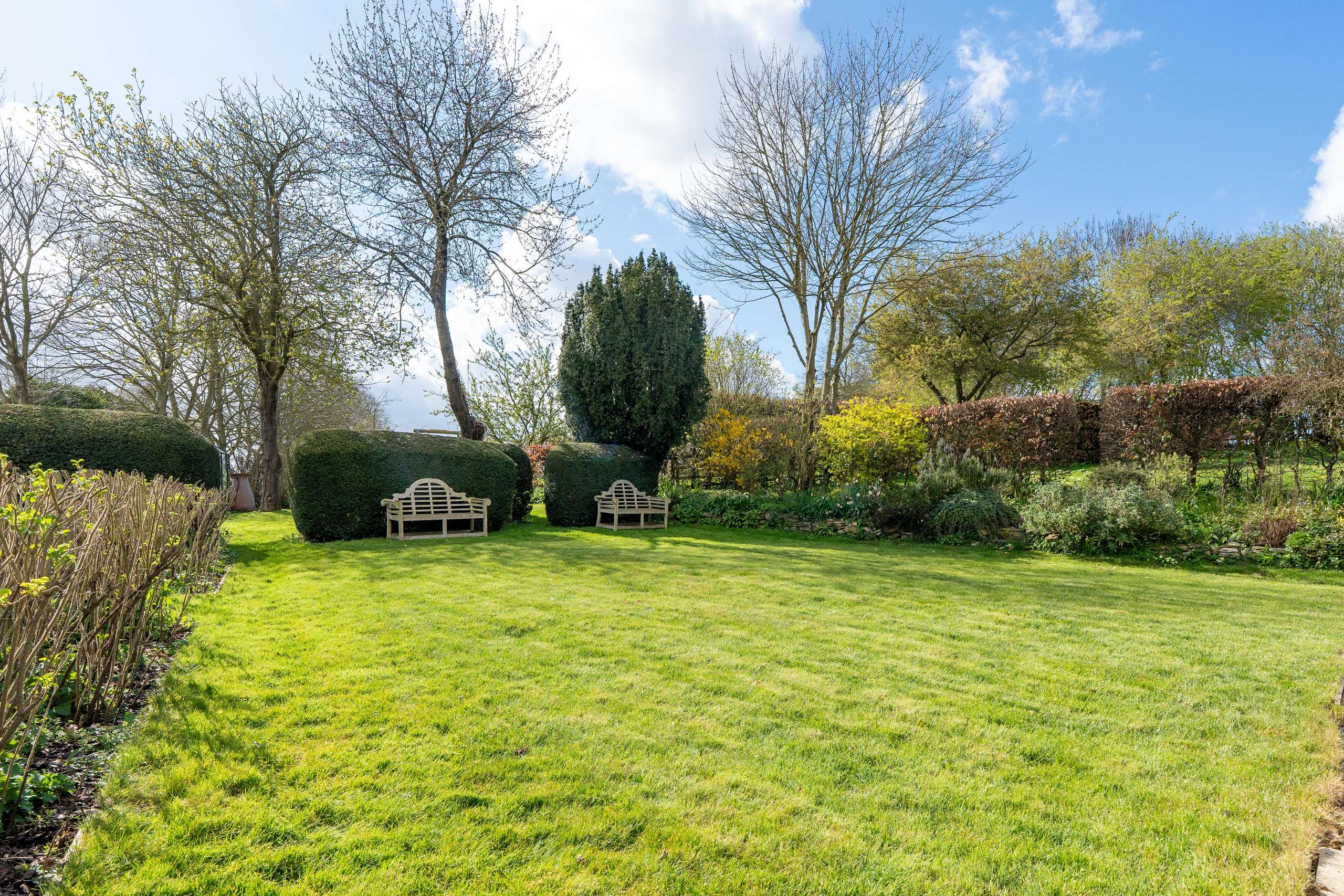 The Vineyard - Garden