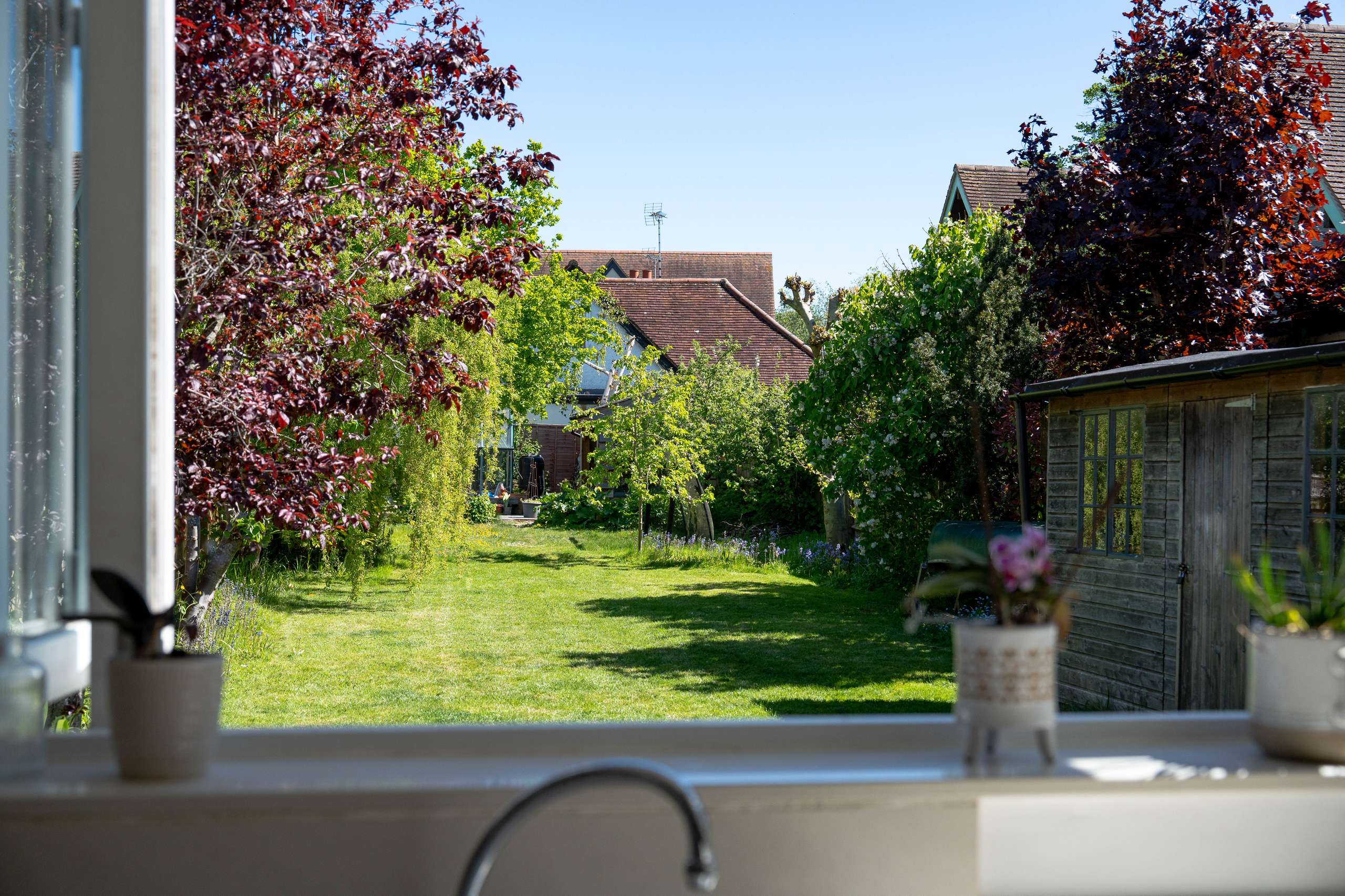 Kitchen View
