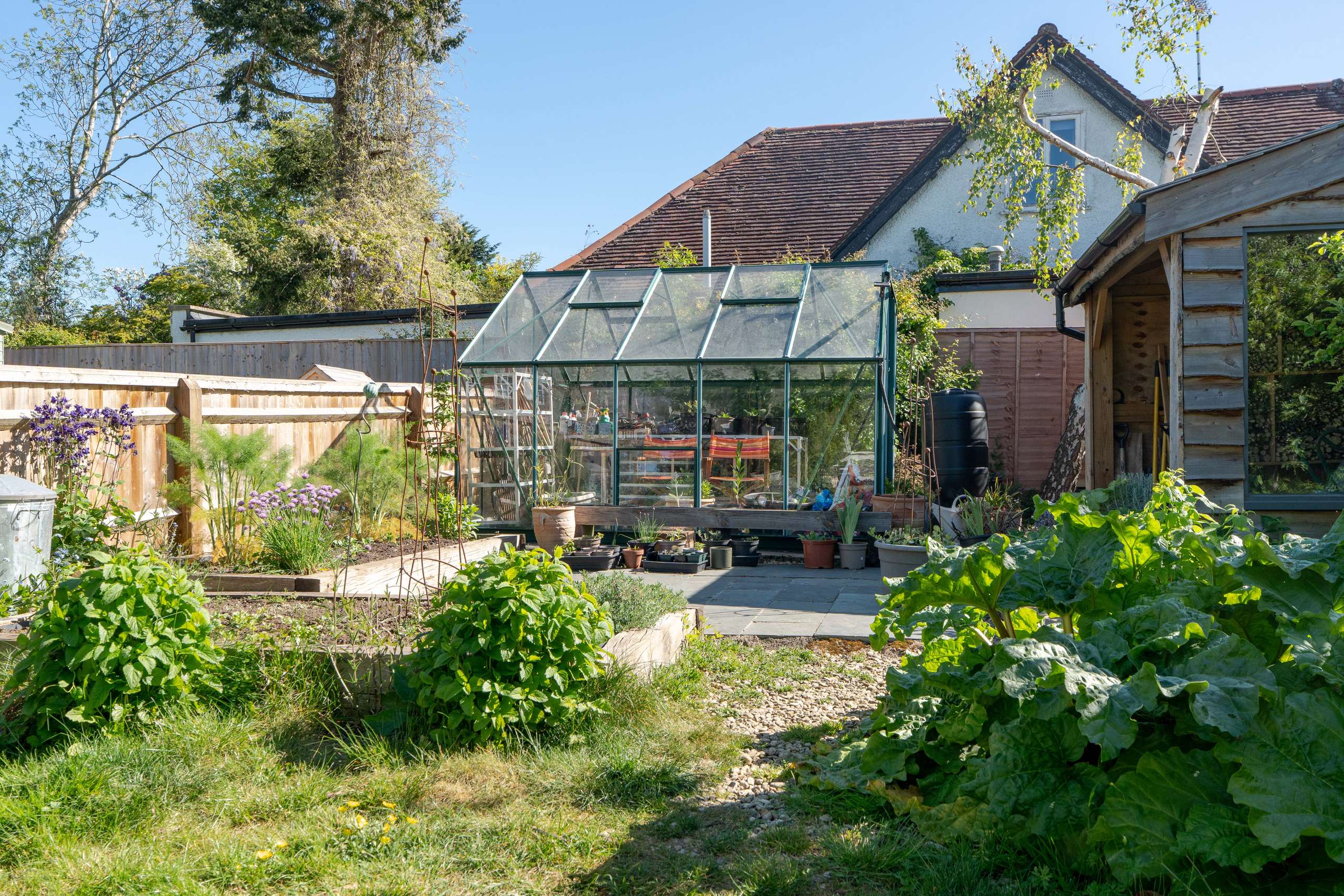 Garden