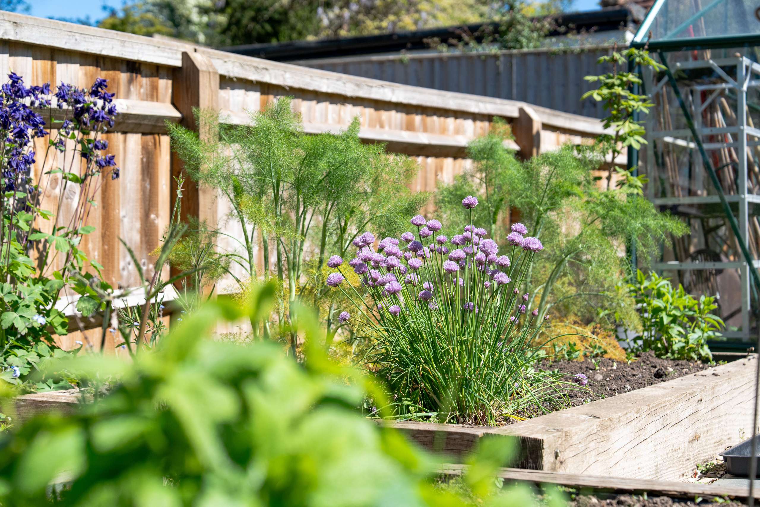 Garden