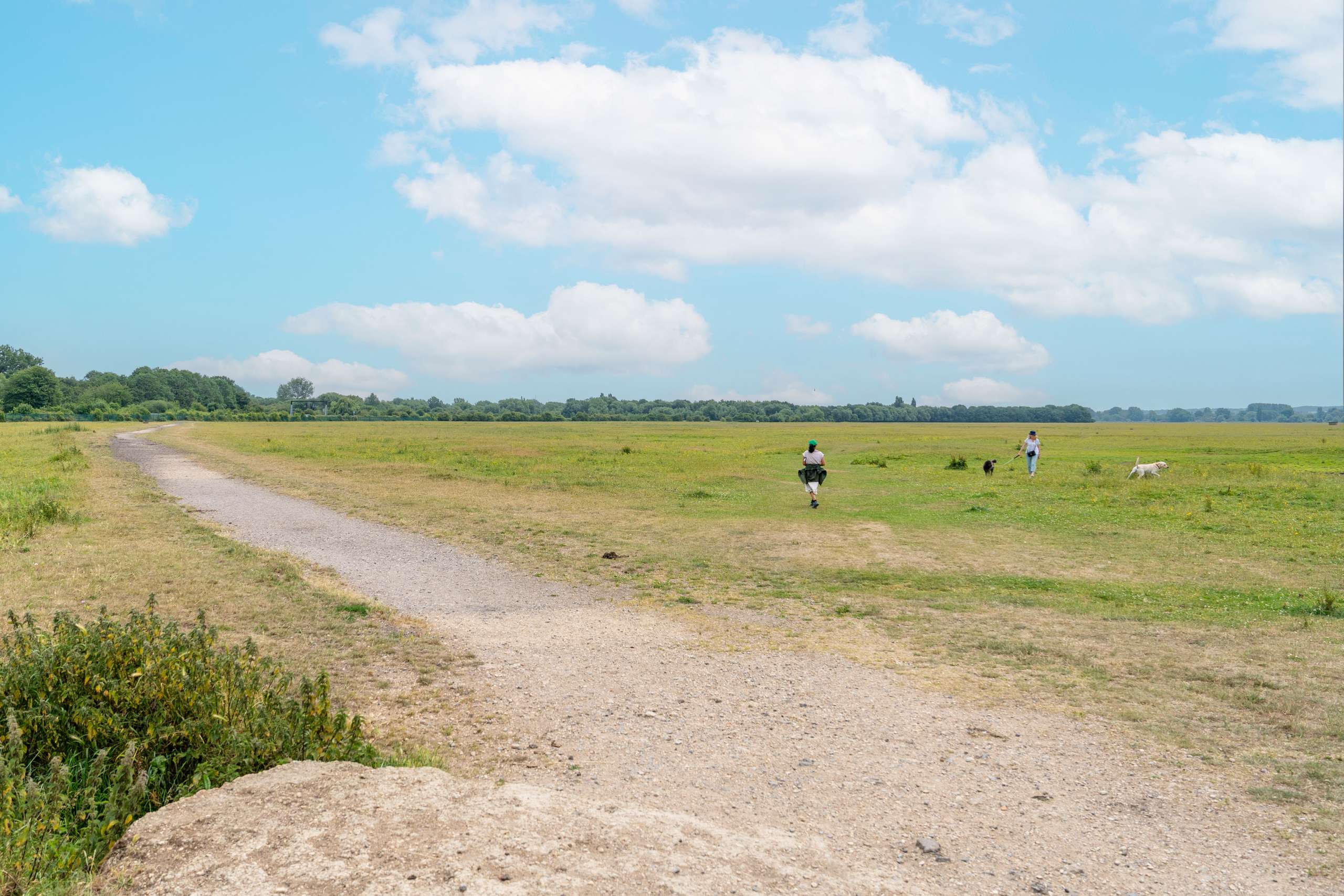 Wolvercote Common