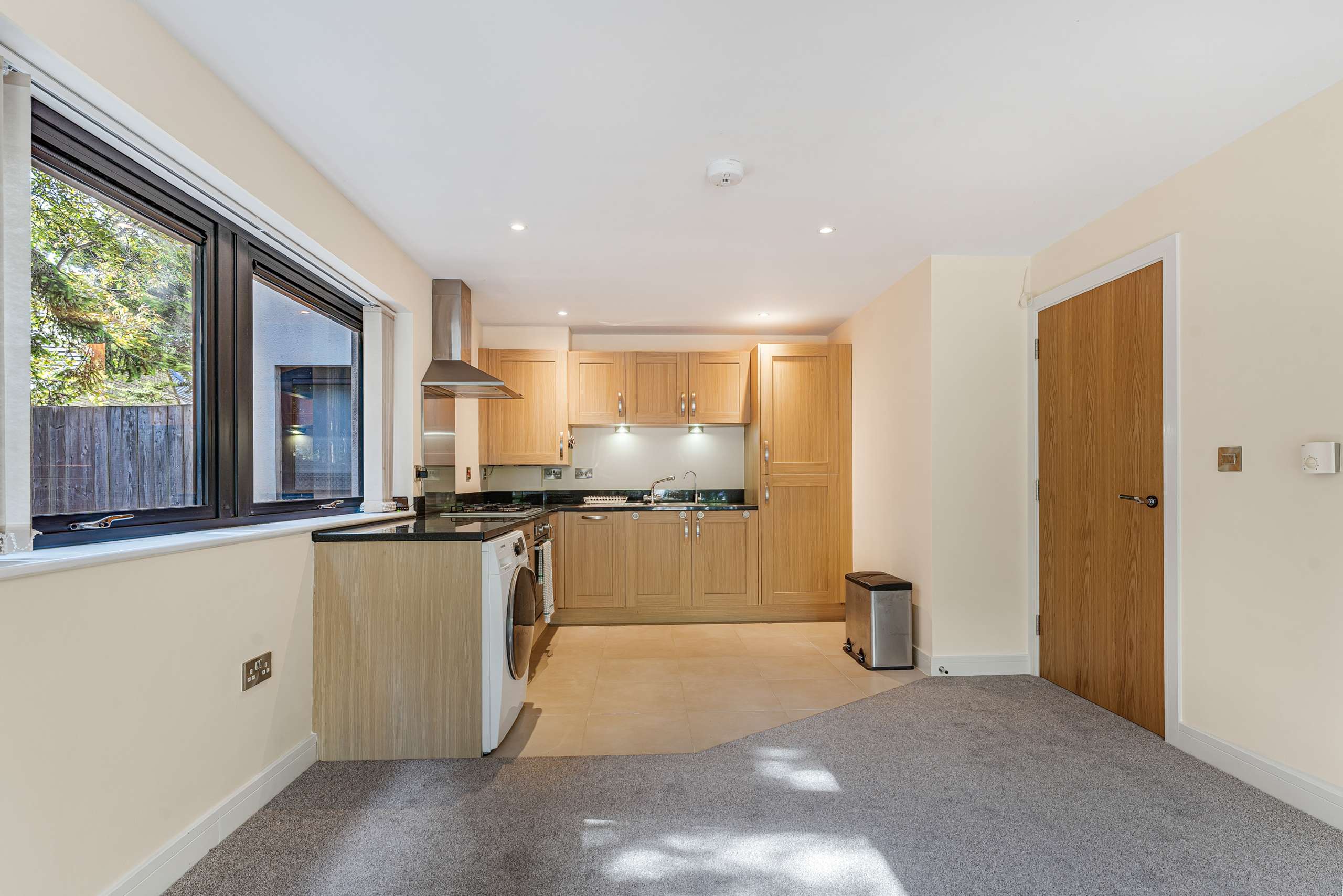 Living/Kitchen Area