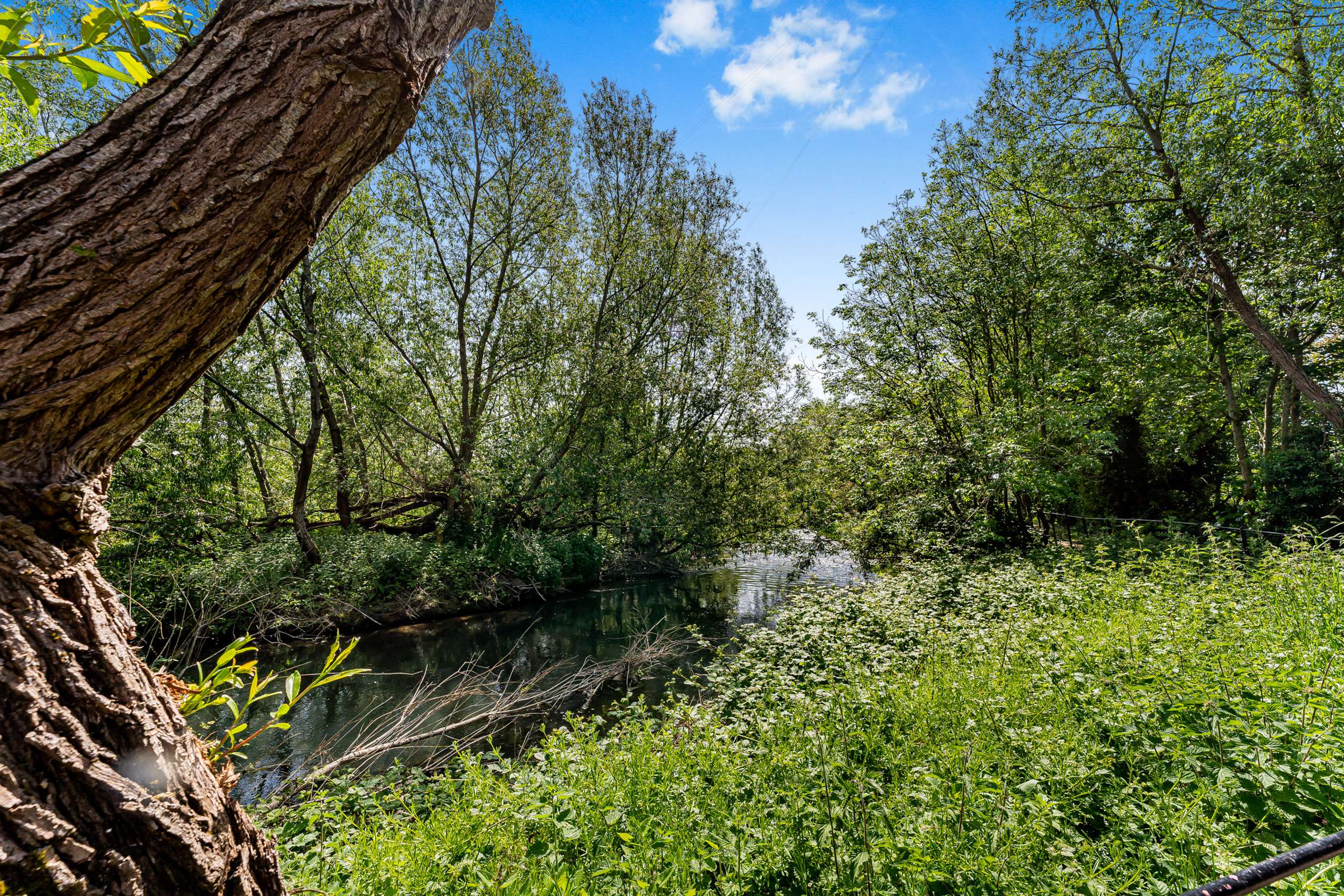 Riverside Walk