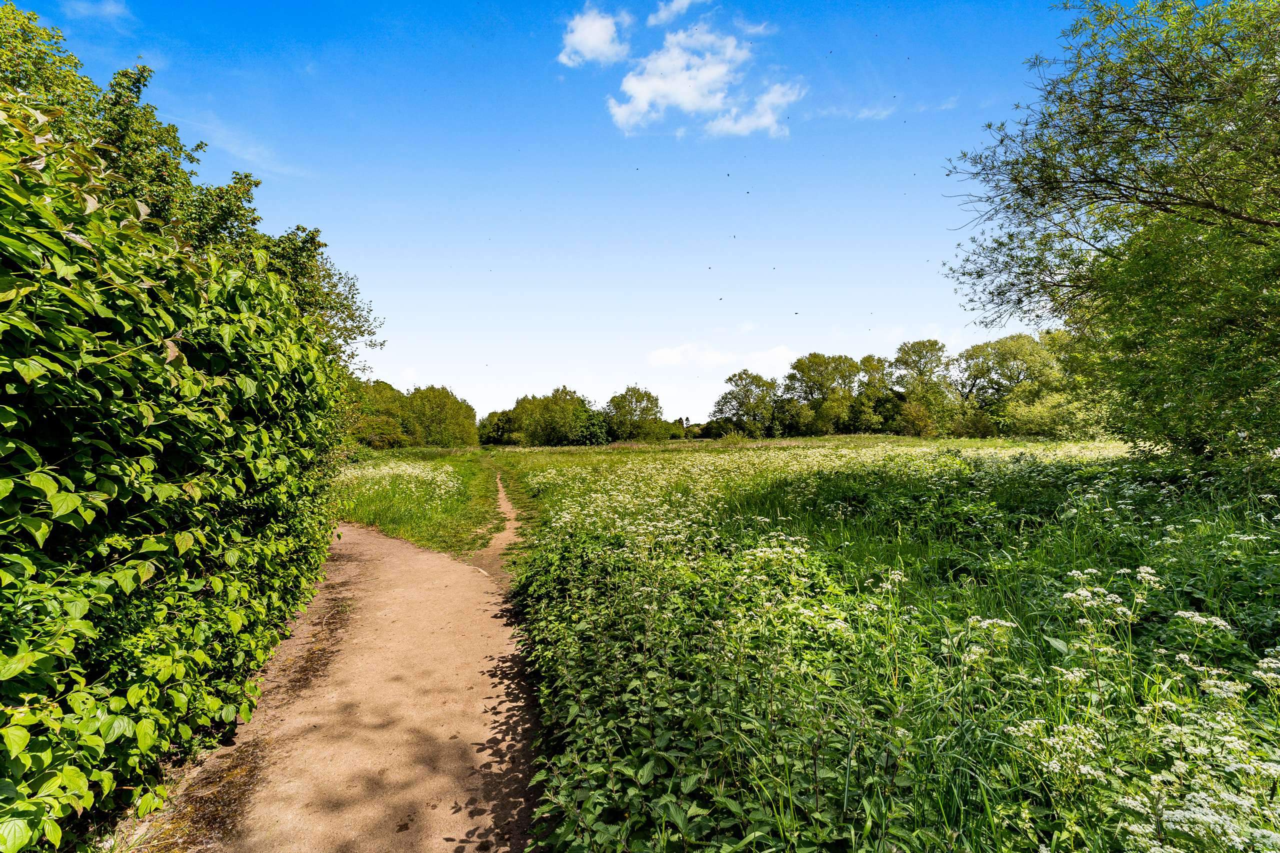 Riverside Walk