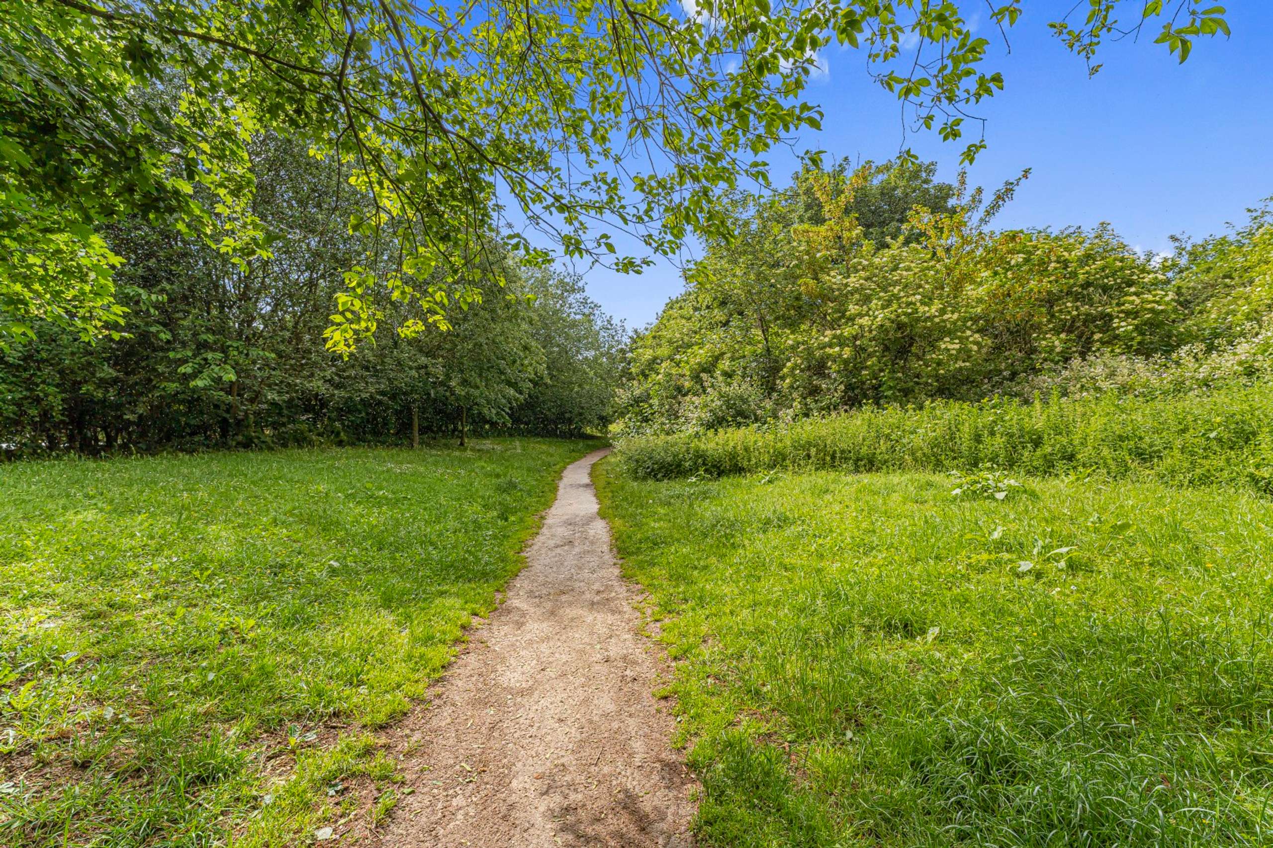 Nearby Riverside Walk