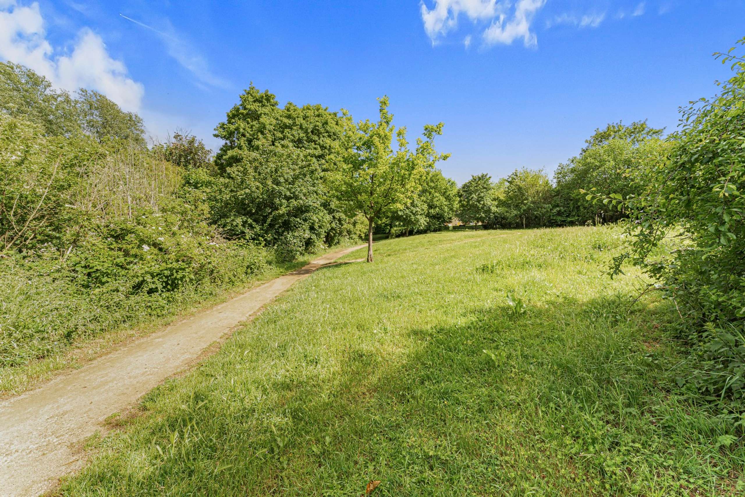 Nearby Meadow