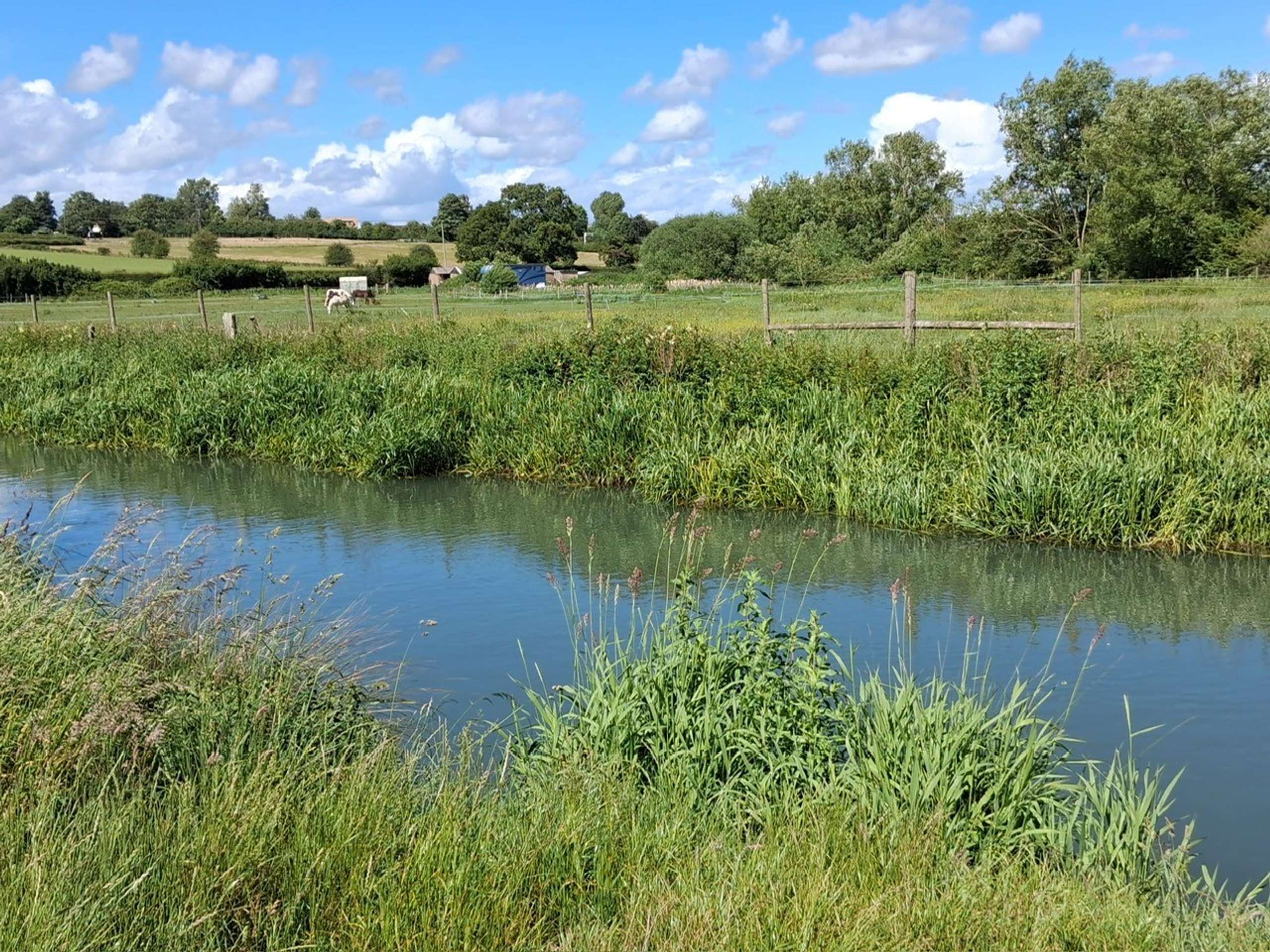 River Windrush Walk