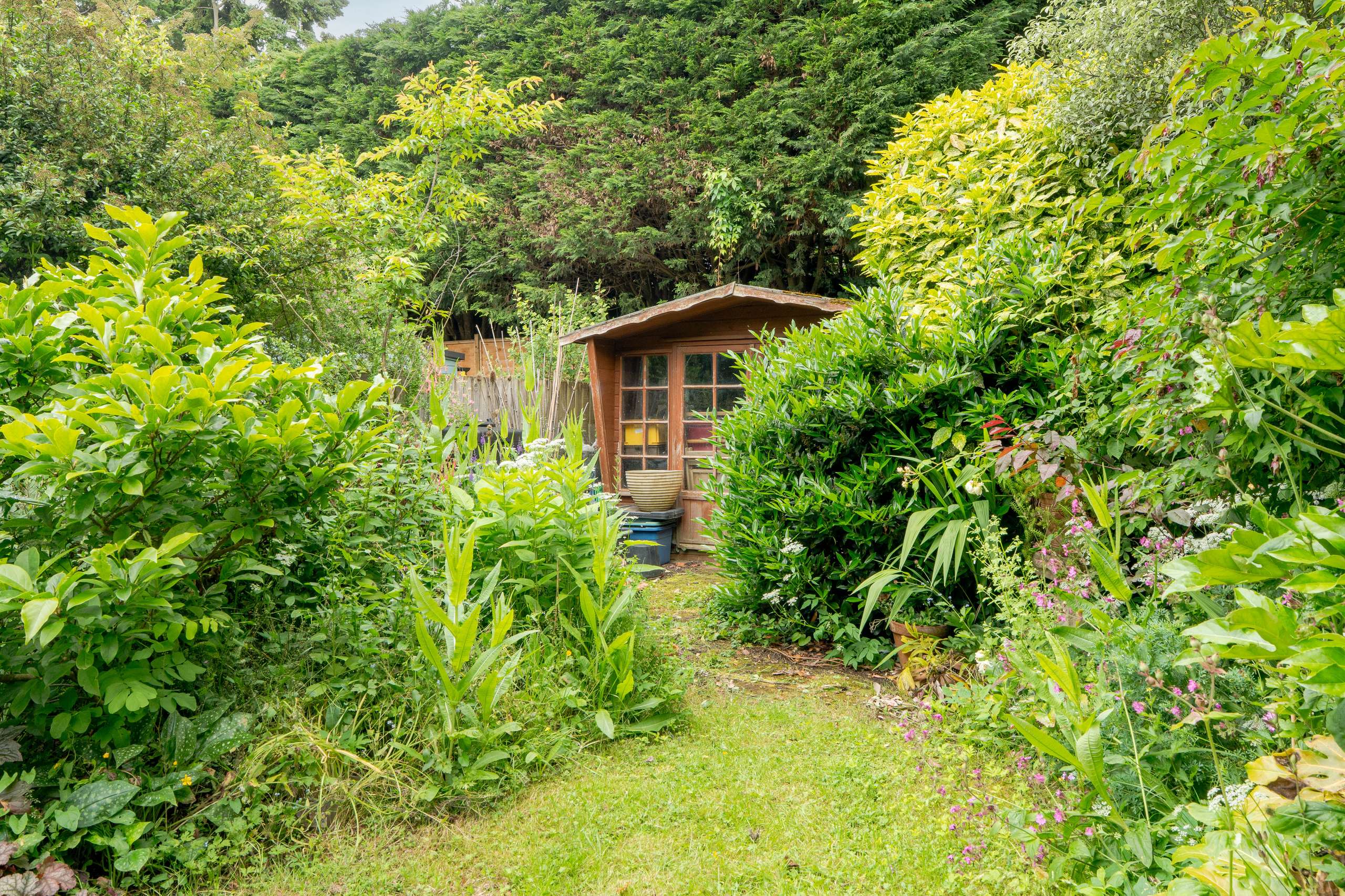 Garden