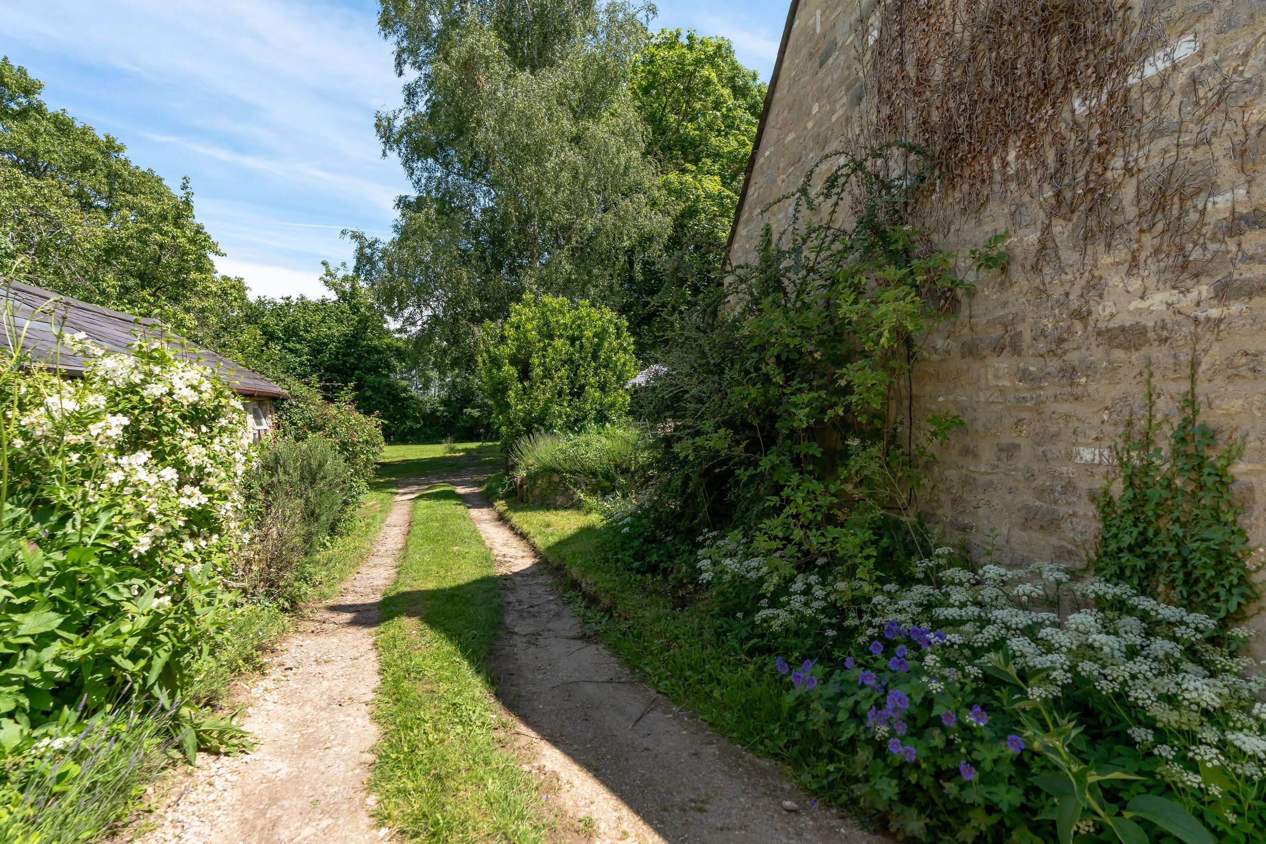 Driveway
