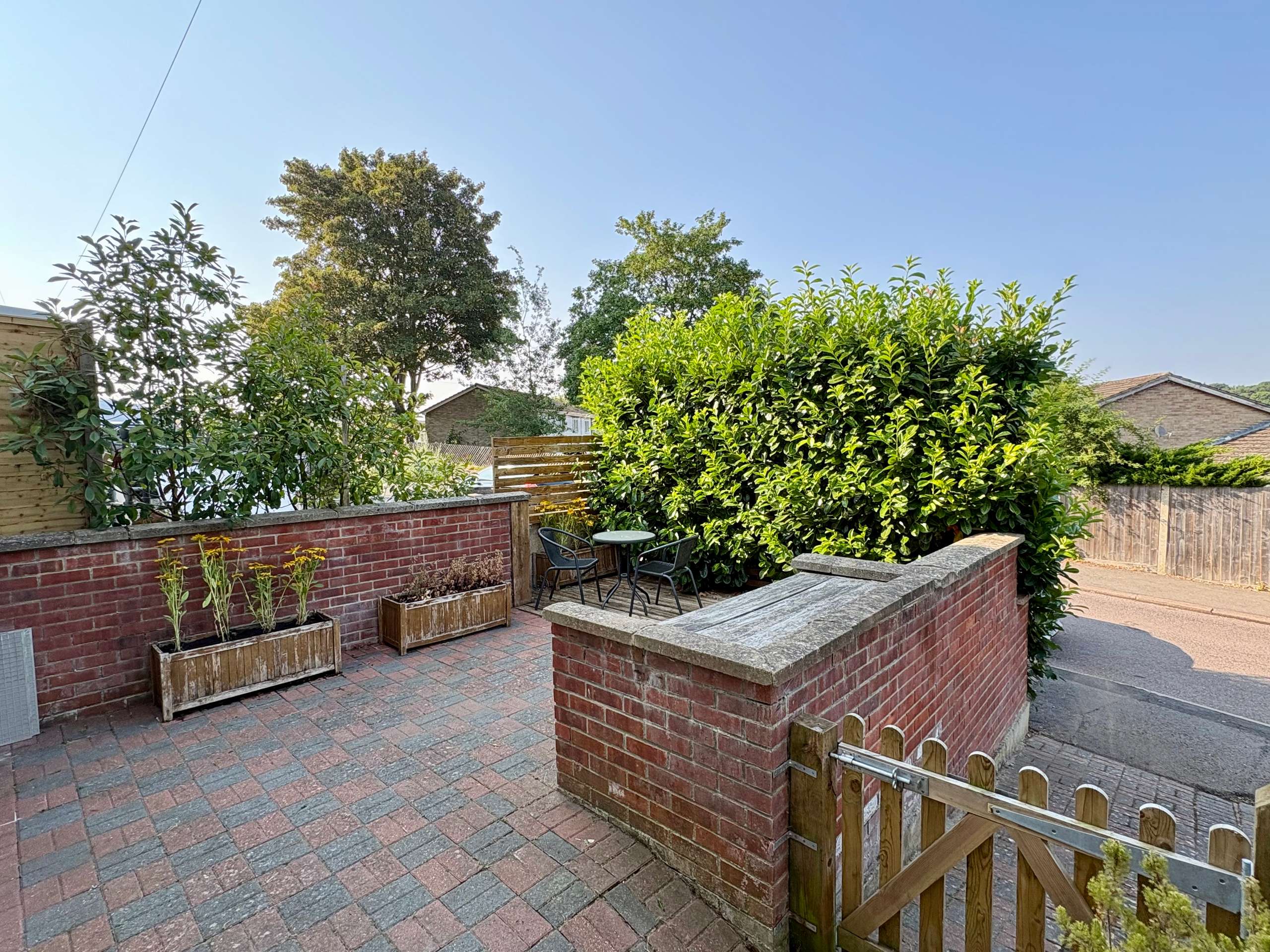 Court yard Garden